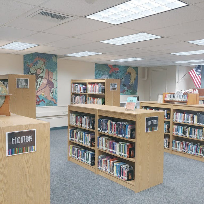 12 Best Decor Ideas for your School Library