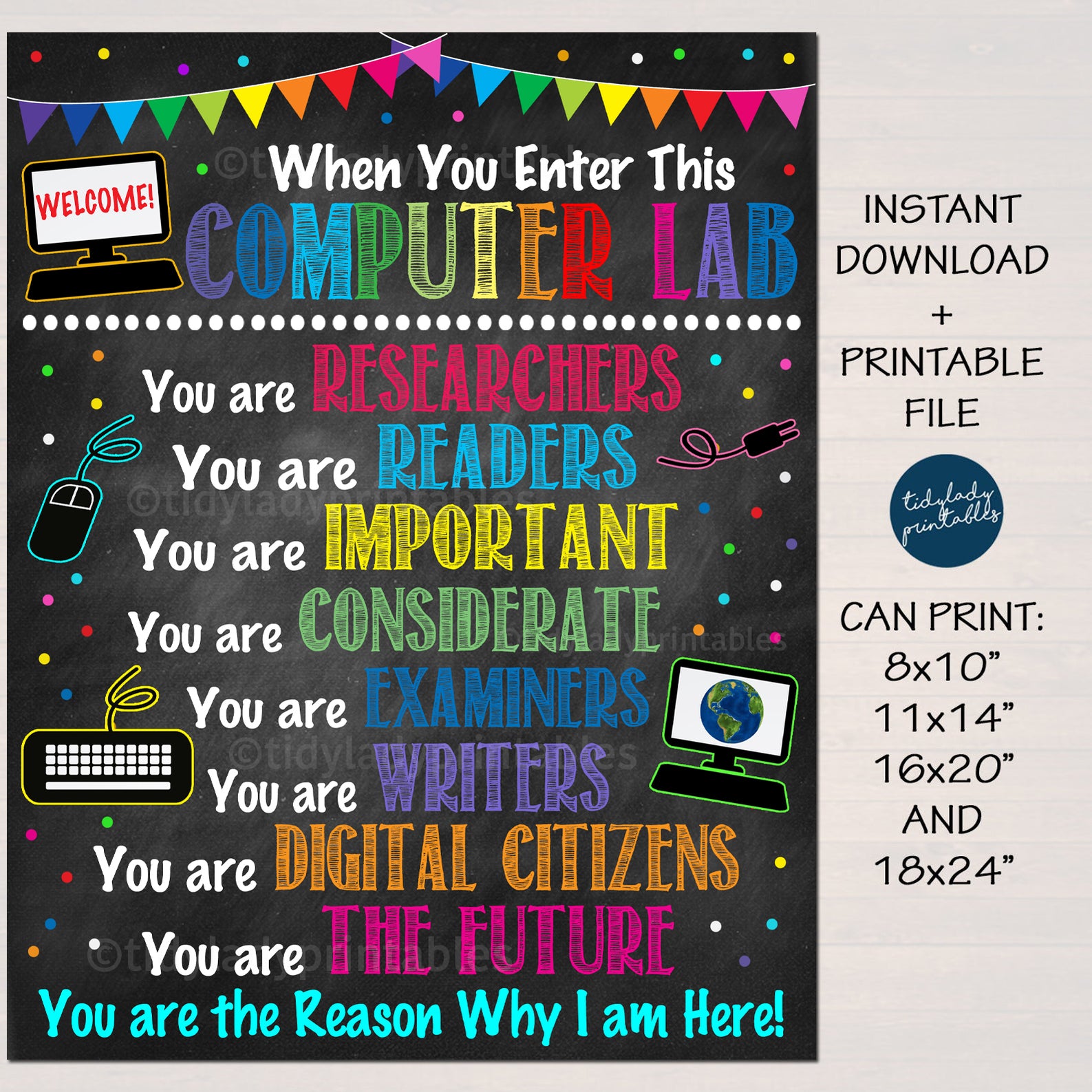 Present Day Computer Labs Computer Lab Posters | TidyLady Printables