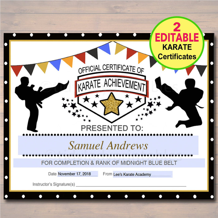 EDITABLE Karate Certificates, INSTANT DOWNLOAD Karate Belt Awards, Ninja Party Printable, Printable Martial Arts Acheivement, Karate Party