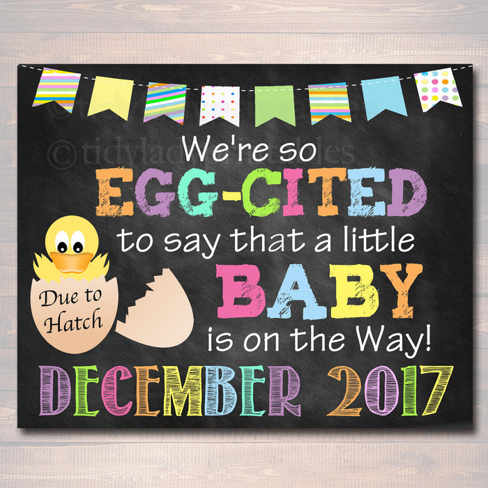 Chalkboard Pregnancy Announcement, EGG-cited to Say Baby on the Way Chalkboard Poster Spring Pregancy Reveal Prop Easter Photo Prop