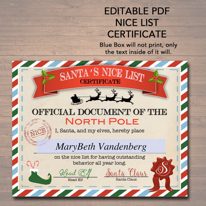 Nice/Naughty Certificates | TidyLady Printables nice-naughty-certificates-tidylady-printables