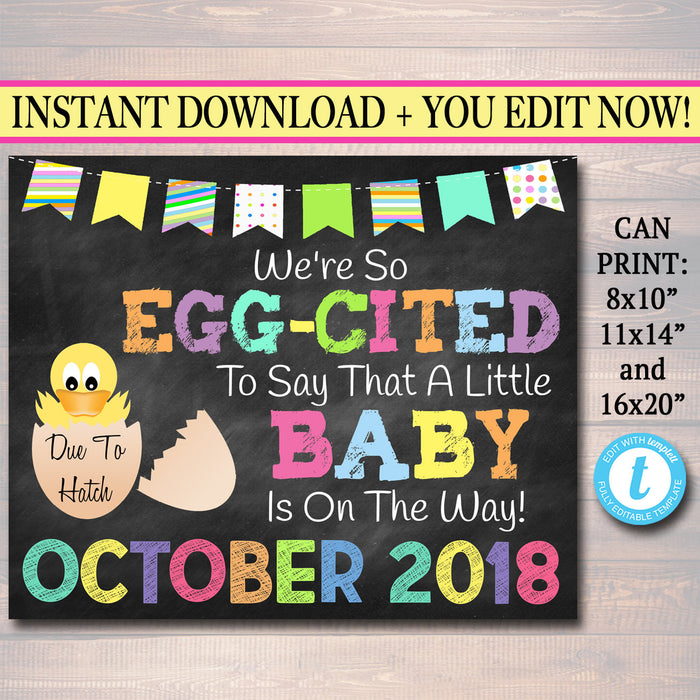 Chalkboard Pregnancy Announcement, EGG-cited to Say Baby on the Way Chalkboard Poster Spring Pregancy Reveal Prop Easter Photo Prop