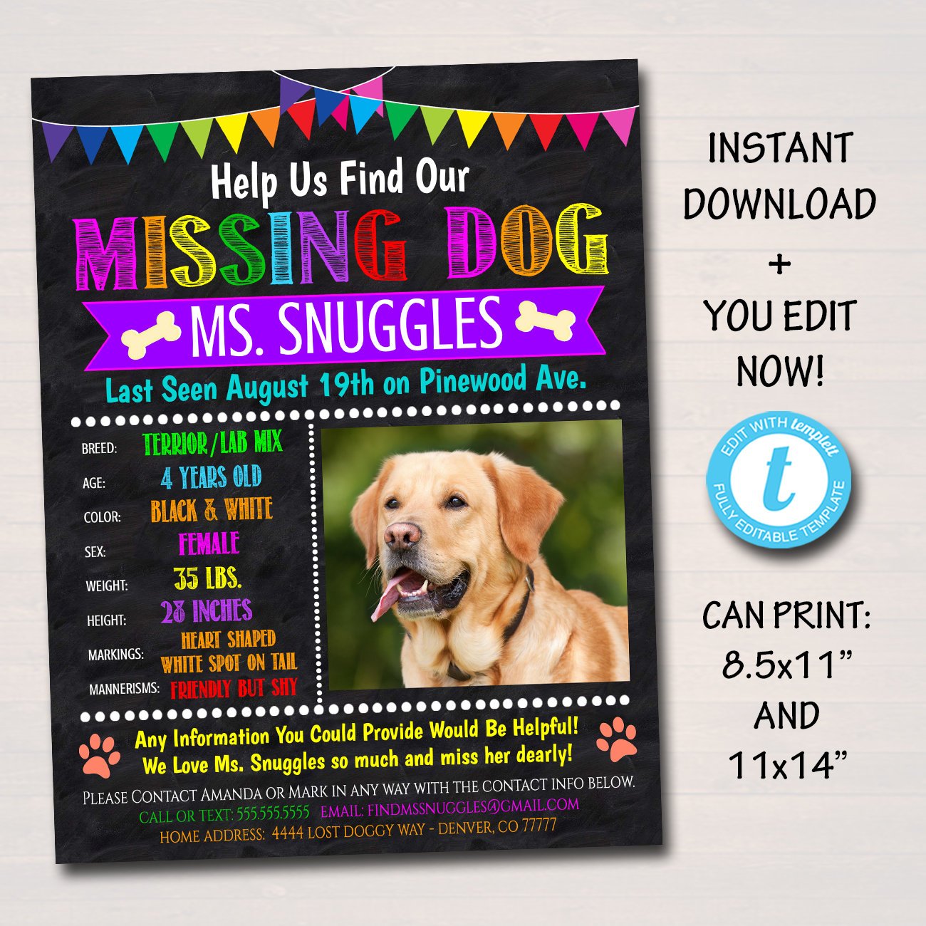 Missing Dog Flyer and Poster Template - Editable Template — TidyLady Printables for Free Printable Lost Pet Flyer