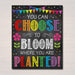 Classroom Decor, School Classroom Poster, Bloom Where You Are Planted, Inspirational Printable Quote Art, School Counselor Office Decoration
