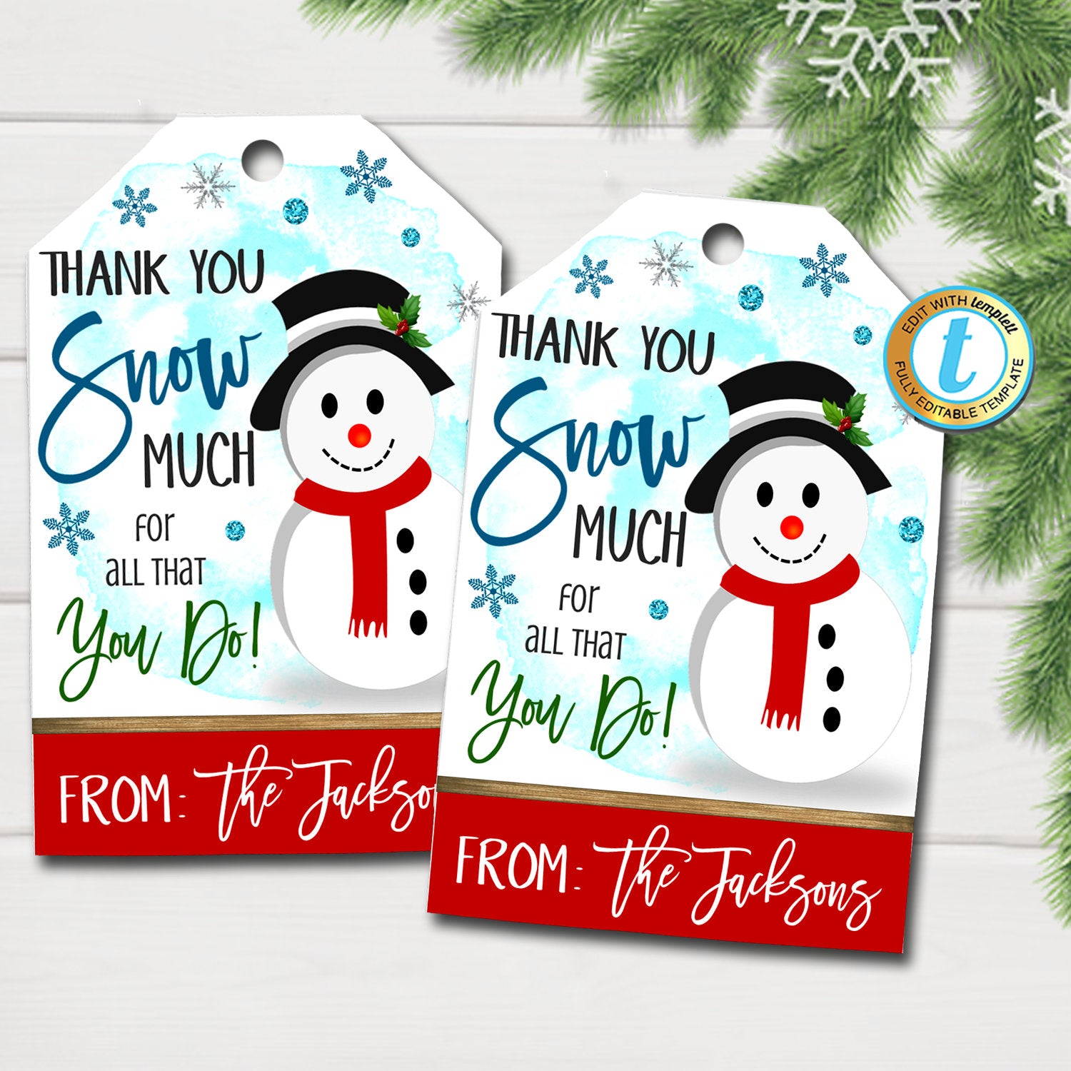 Thank You Snow Much Free Printable