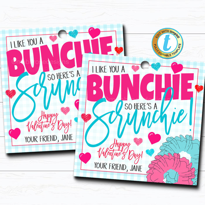 Valentine Scrunchie Tags, Hair Tie Girl Valentine I like You a Bunchie Gift Tag, Classroom School Teacher Staff Label, DIY Editable Template