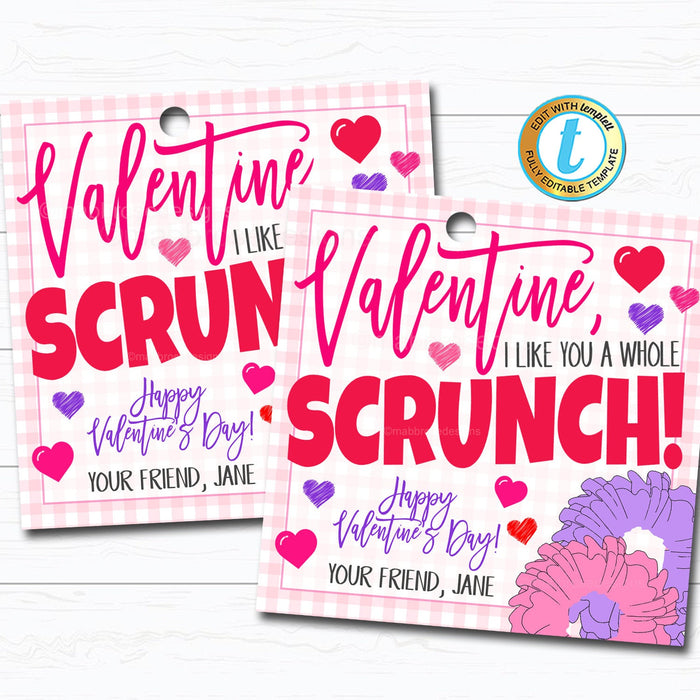 Valentine Scrunchie Tags, Hair Tie Girl Valentine I like You a Scrunch Gift Tag, Classroom School Teacher Staff Label, DIY Editable Template