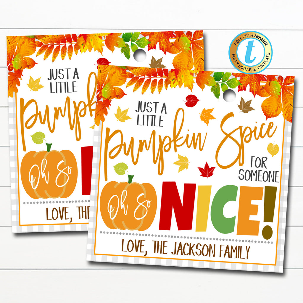 Pumpkin Spice for Someone Nice Gift Tag, Thanksgiving Thank You Tag - –  Cute Party Dash