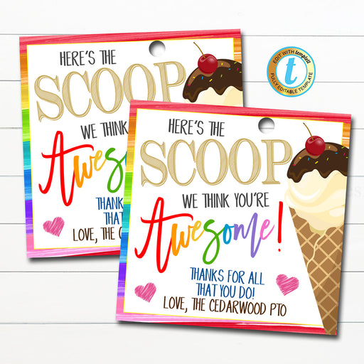 Ice Cream Gift Tag, Here&#39;s the Scoop You&#39;re Awesome, School Pto pta thank you Gift, Staff Employee Appreciation Week, DIY Editable Template