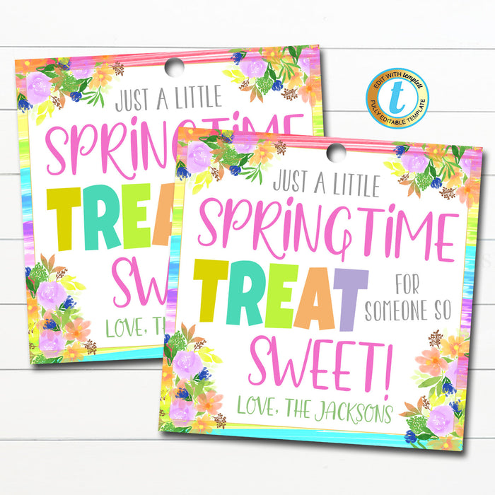 Spring Treat Tag Printable Candy Gift, A Treat for Someone So Sweet, Easter Appreciation, Floral Thank You Gift Tags, DIY Editable Template