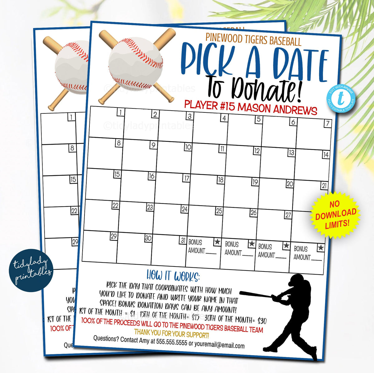 Baseball Pick a Date to Donate Printable | Fundraiser Flyer — TidyLady Printables baseball-pick-a-date-to-donate-printable-fundraiser-flyer-tidylady-printables