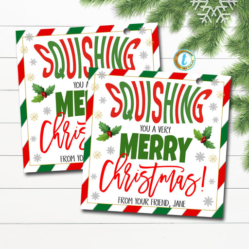 Christmas Squishies Gift Tag, Squishing you a Happy Holidays, Stocking Stuffer Squishy Toy Squeeze Kid Classroom Non-Candy Editable Template