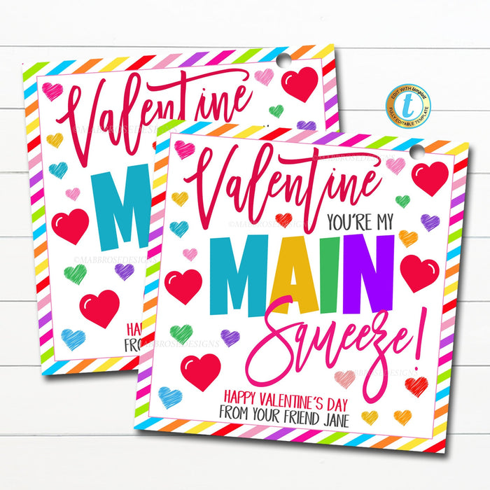 You're My Main Squeeze Valentine, Squishies Valentine, Squishy Toy, Applesauce, Preschool Classroom Printable Kids Card, Editable Template