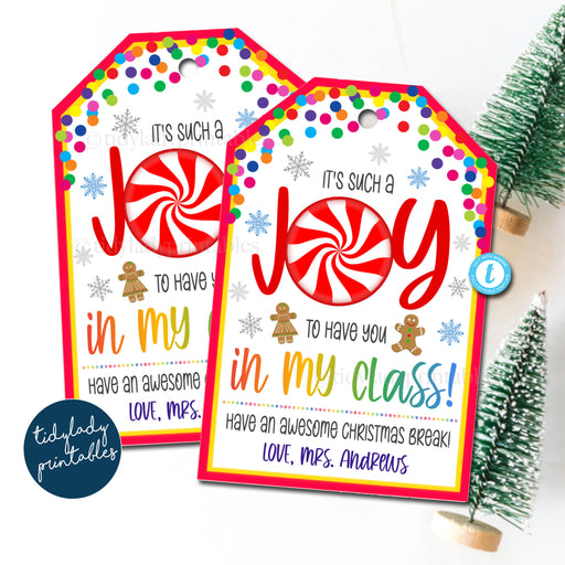 Joy to Have You in My Class, teacher Tag, Student Gift Tags, Printable Classroom Gift to Class, Holiday Kids Toy Gift, Teacher Xmas EDITABLE
